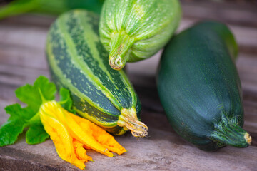 large multi-colored zucchini lie on a dark background