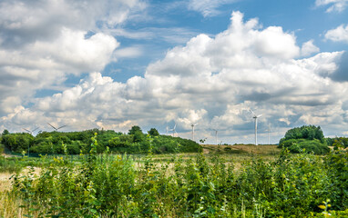 Obraz premium Wind turbine farm