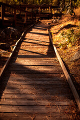 Fototapeta na wymiar Wooden path with railing