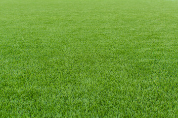Beautiful green soccer turf