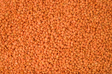 Red lentils background pattern. pink lentil