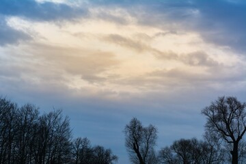 Fototapeta premium Beautiful sunrise (sunset) in curly clouds