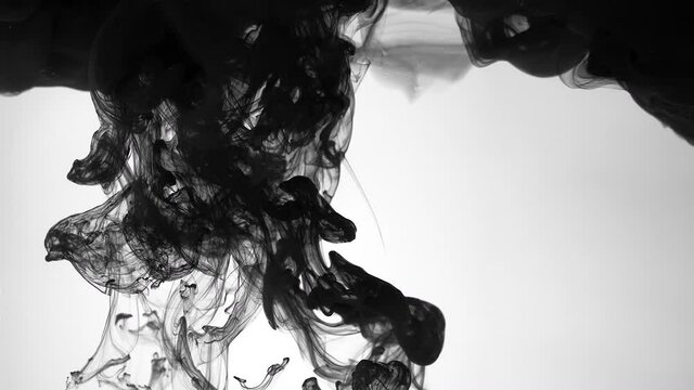 Black cloud of ink on a white background. Cosmic hypnotic abstract background. Drops of black ink in water. Slow motion of liquid black ink.