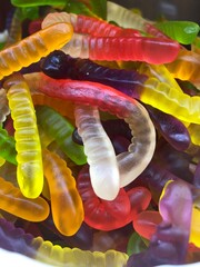 close up of a caterpillar