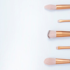 Makeup brushes on white background. Copy space