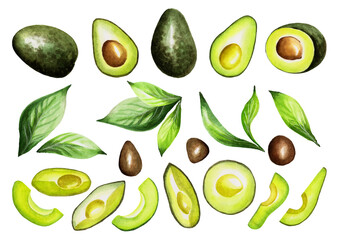Avocado watercolor illustration, set of green vegetables on an isolated white background.