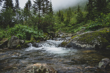 waterfall in the mountains