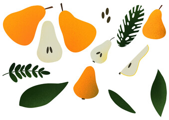 pear leaves and green orange illustration