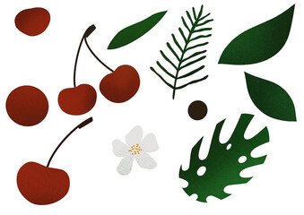 cherry leaves and green burgundy illustration