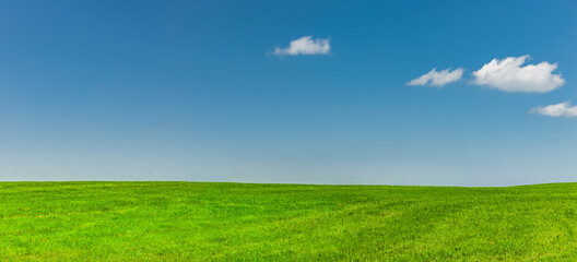 Obraz na płótnie Canvas Grüne wiese mit Blauem himmel und weissen Wolken