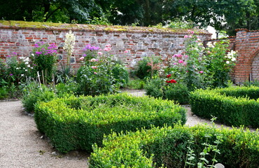 A close up on a well maintained garden with shrubs arranged into rectangles with some herbs inside...