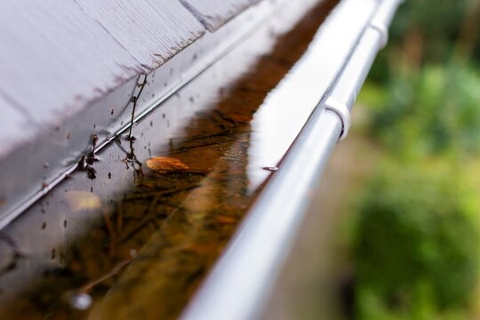 A close up portrait of a clogged roof gutter full of rain water during a rainy and cloudy day. The bottom of the drain is full of leaves and other natural waste and is hanging next to a slate roof.