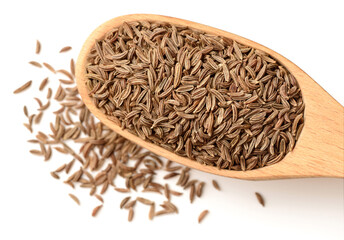 dried caraway seeds isolated on white, top view