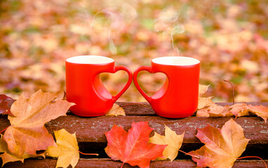 two heart shaped mugs with tea on a Park bench
