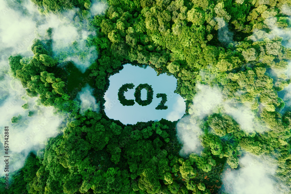 Wall mural concept depicting the issue of carbon dioxide emissions and its impact on nature in the form of a po