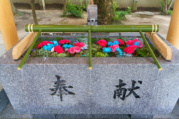 Fototapete bei efototapeten.de bestellen   