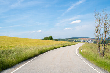 Fototapeta na wymiar Road in a beautiful landscape between grain and grass fields with blue sky in summer