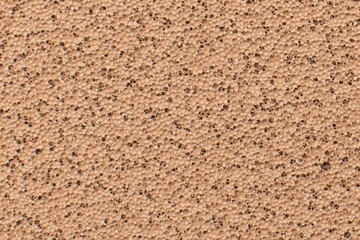 The texture of the foundation cushion cream in 4 shades skin. powder cream with sponge.