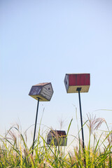 bird house.