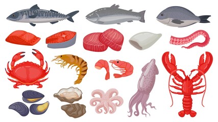 Cartoon raw seafood, fish, fresh salmon, lobster and squid. Ocean shrimp, tuna steak, shellfish and octopus tentacle. Marine food vector set