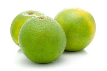Close-up of Organic Indian Citrus fruit sweet limetta or mosambi (Citrus limetta), it is an green and yellow in color,  isolated over white background,