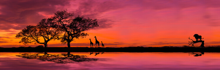Amazing safari.Panorama silhouette tree in africa with sunset.Dark tree on open field dramatic sunrise.Safari theme.Giraffes , Lion , Rhino.with blur shadow.