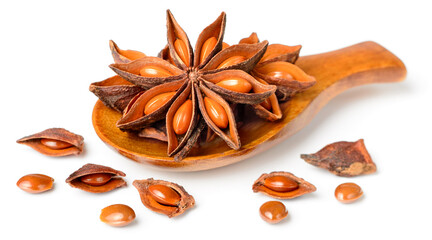 star anise in the wooden spoon, isolated on the white background
