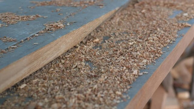 Close up of sawdust on wood plank from plane in working place of making timber furniture. Concept of wood carpentry, hobby, DIY in free time, vintage retro location