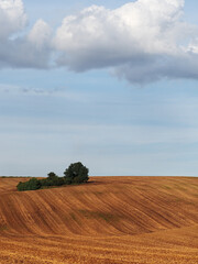 Rolling fields after harvest with drawers of trees in South Moravia, Czech Republic