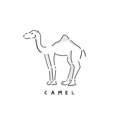 Animal hand-drawn vector sticker icon on white background with hand writing letters. - Camel - Simple and heartwarming line drawing art. 