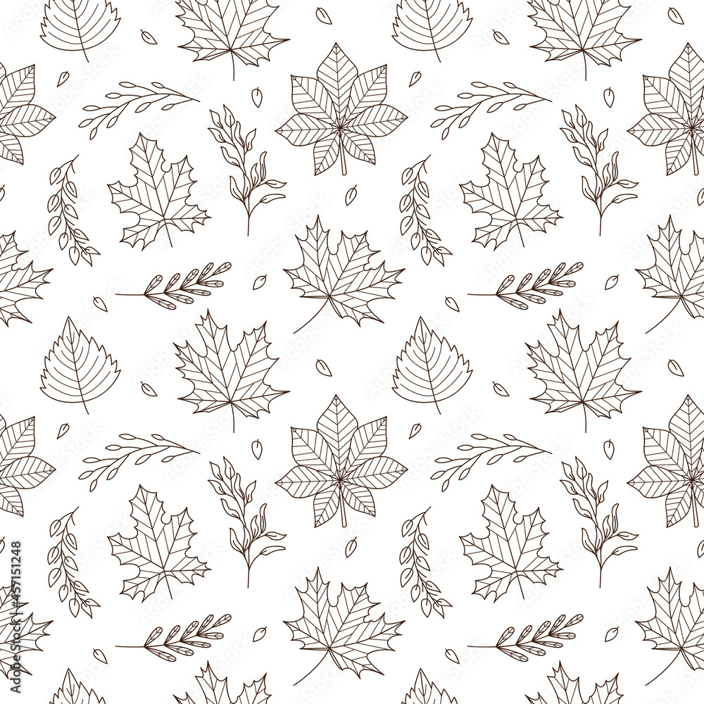 Wall mural Seamless pattern with autumn leaves and twigs. Maple, oak, chestnut, aspen, birch.Monochrome backdrop with botanical linear Outline doodle elements. Black and white vector pattern on white background.