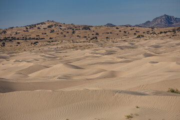 Sand Mountain, Little Sahara, Utah