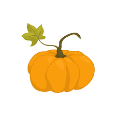 A large orange pumpkin with a leaf is drawn in the style of cartoons. Round pumpkin for harvest festival, icon or sticker