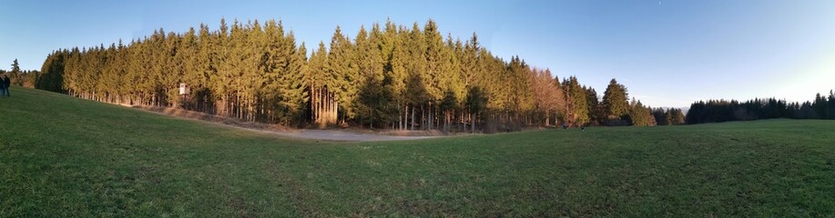 sunset in the field