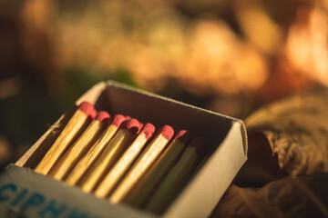 Red matches in box on dry forest leaves