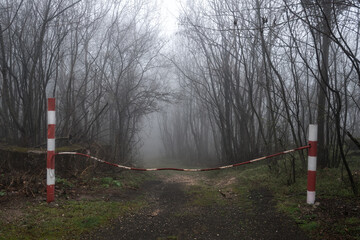 Road through the foggy forest blocked by a  red-white metal cable fence.