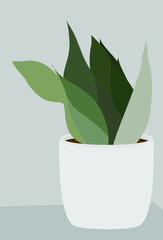 Green plant in a white pot on a gray background. Vector flat illustration of a home plant. Light image. Design for cards, posters, backgrounds, templates, textiles.