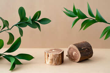 Empty rough wooden podium and branches with green leaves on beige background. Wabi sabi concept. Natural cosmetic product display. Trendy beauty and spa mockup. Front view, still life.