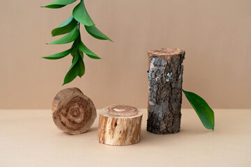 Empty wooden podium, saw cut, piece of wood with bark, leaf and green branch on beige background....