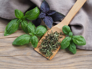 Dried basil in a wooden spoon and green, purple basil leaves  on a wooden table with a napkin, flat layout. Spicy herb ocimum basilicum for nutrition and cooking