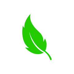 Green leaf vector icon. botany illustration sign . ecology symbol. eco sign.