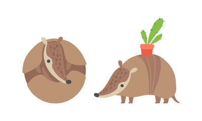 Cute Armadillo Character with Armor Shell Curled Up and Carrying Cactus in Pot on His Back Vector Set
