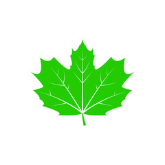 Green leaf vector icon. botany illustration sign . ecology symbol. eco sign.