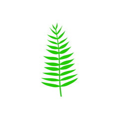 Green leaf vector icon. botany illustration sign . ecology symbol. eco sign.