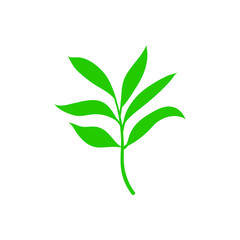 Green leaf vector icon. botany illustration sign . ecology symbol. eco sign.