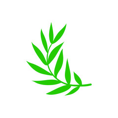 Green leaf vector icon. botany illustration sign . ecology symbol. eco sign. © Denys
