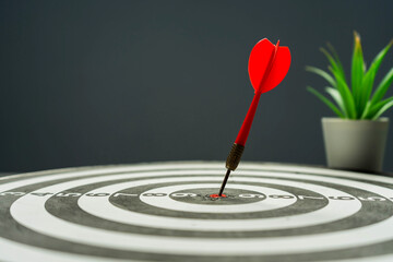 Success goals Targeting the business concept. The concept of starting a new business that goes...