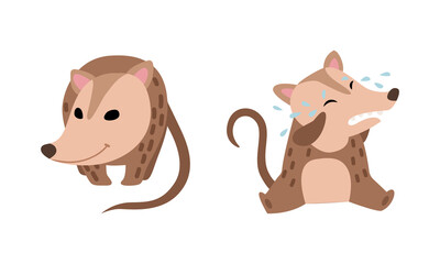 Cute Opossum Animal Crying and Standing Vector Set