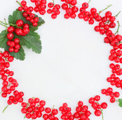 creative frame of red currant berries laid out in a circle on a white background, space for text