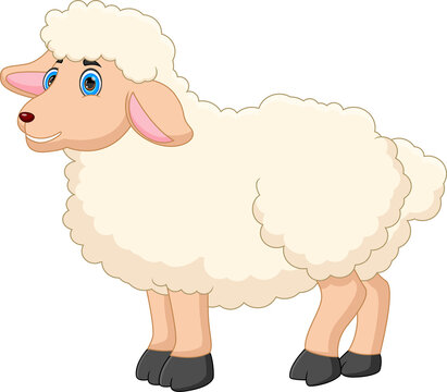 cartoon cute sheep isolated on white background